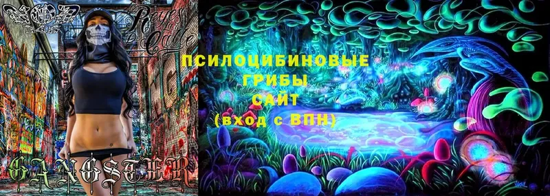 купить  цена  Дагестанские Огни  Псилоцибиновые грибы Cubensis 